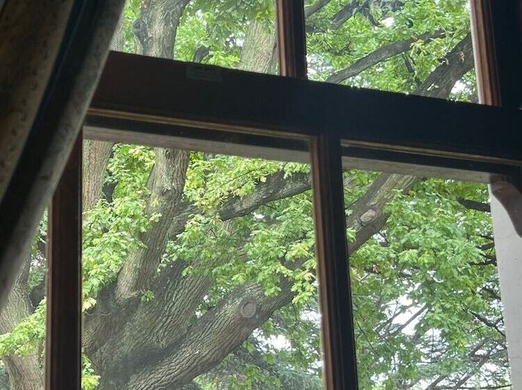 פנסיון Oak View Manor