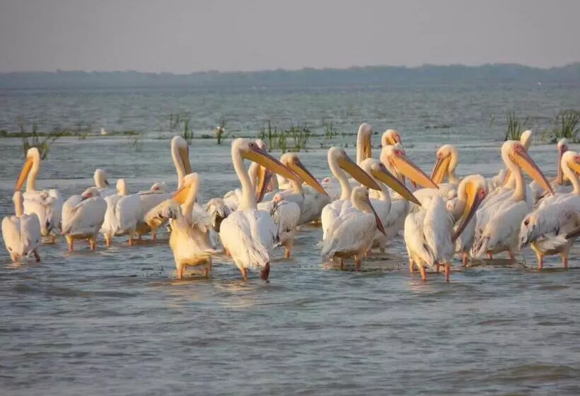 ペンション Casa Maxim