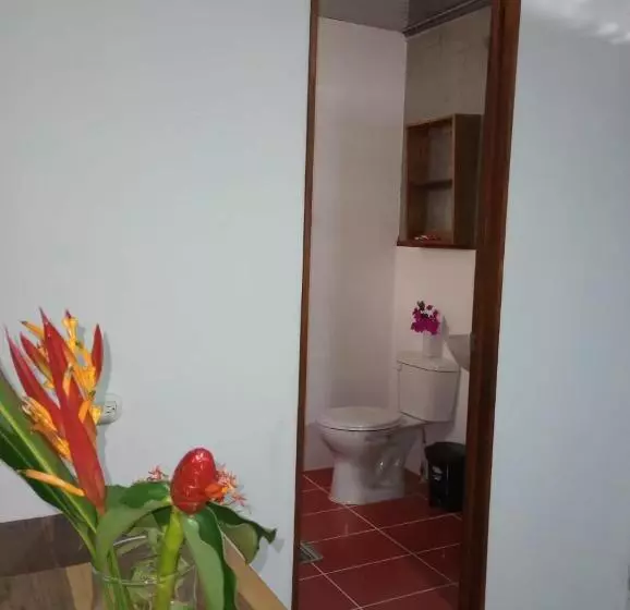 پانسیون Container House Cahuita