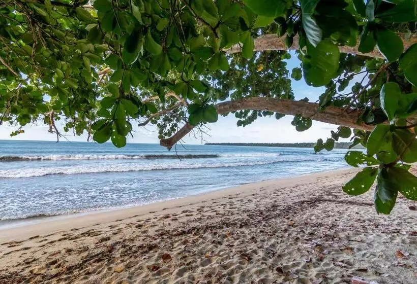 پانسیون Container House Cahuita