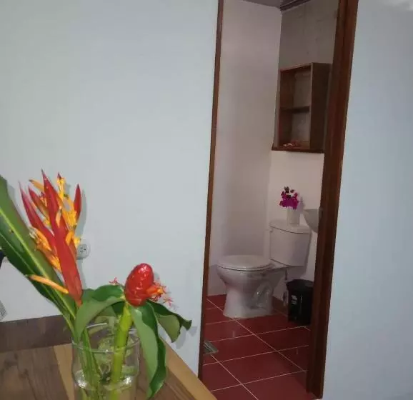 پانسیون Container House Cahuita