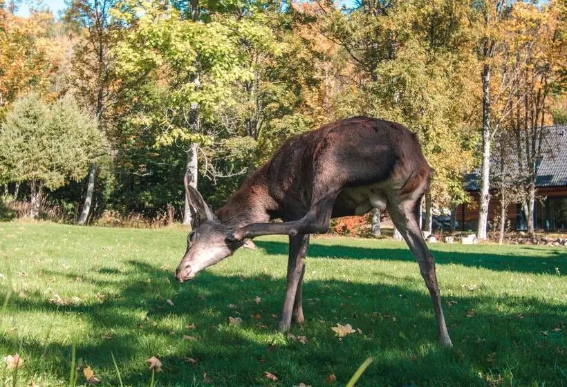 ペンション Penzión Jesenský