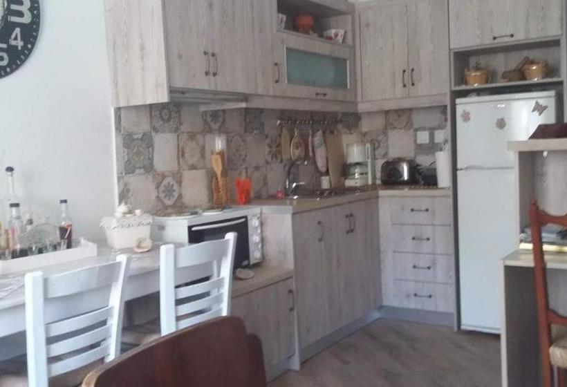 膳宿费 Violetta Rooms