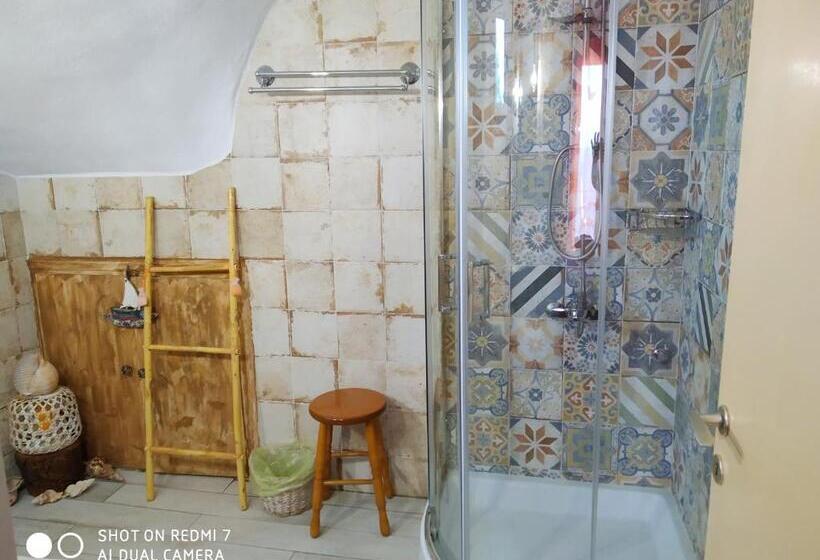 膳宿费 Violetta Rooms