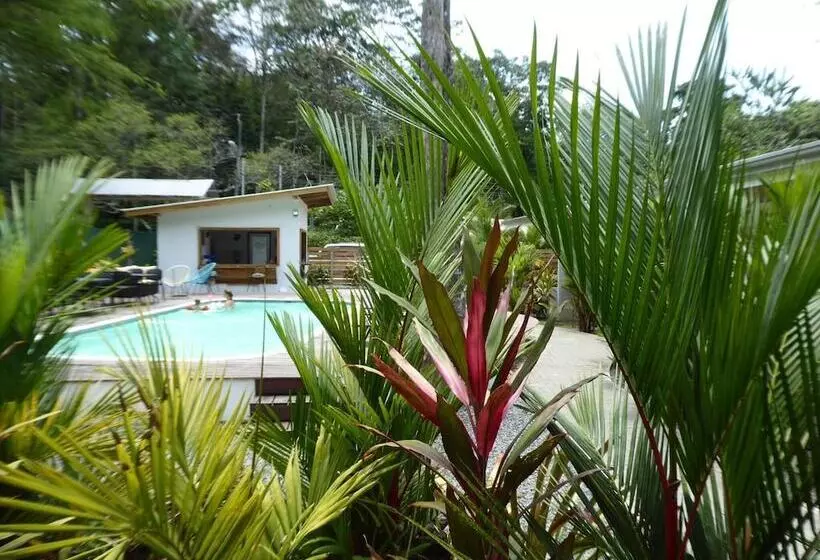 Alloro Jungle Villas