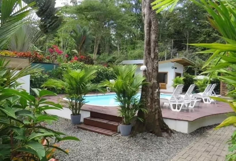 Alloro Jungle Villas