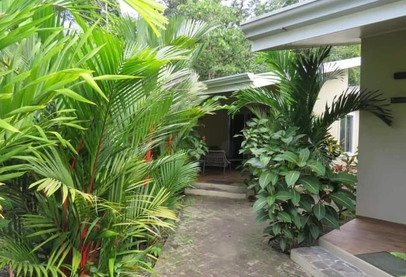 Alloro Jungle Villas