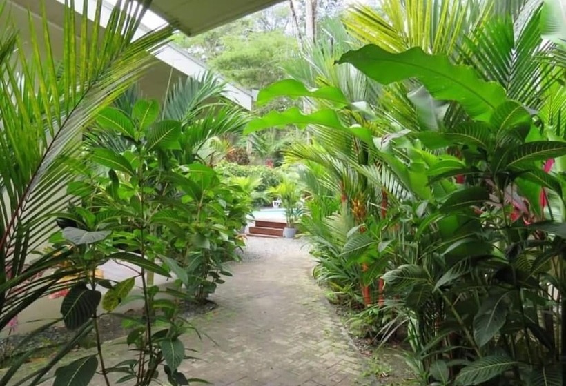 Alloro Jungle Villas