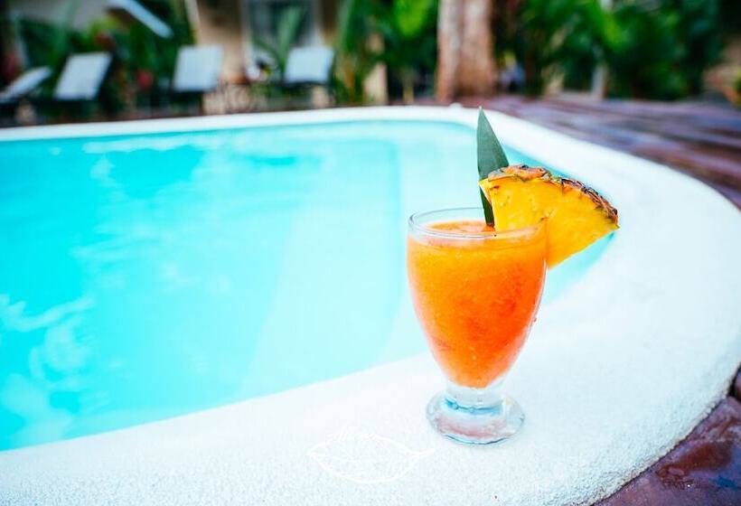 Alloro Jungle Villas