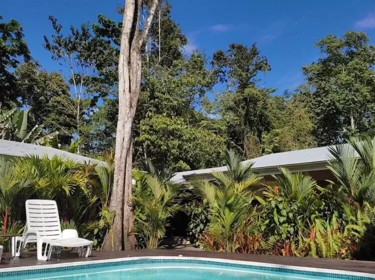 Alloro Jungle Villas