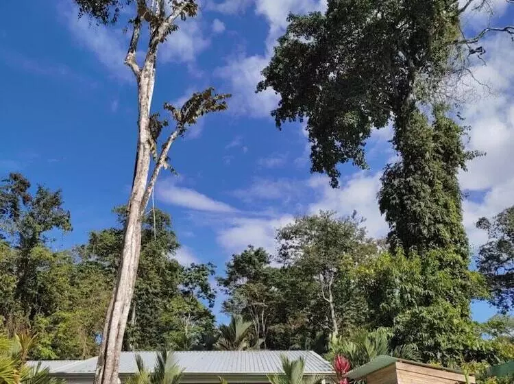 Alloro Jungle Villas