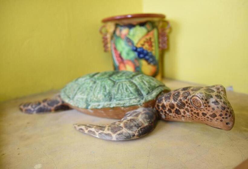 مبيت وإفطار Cancun Guest House 1