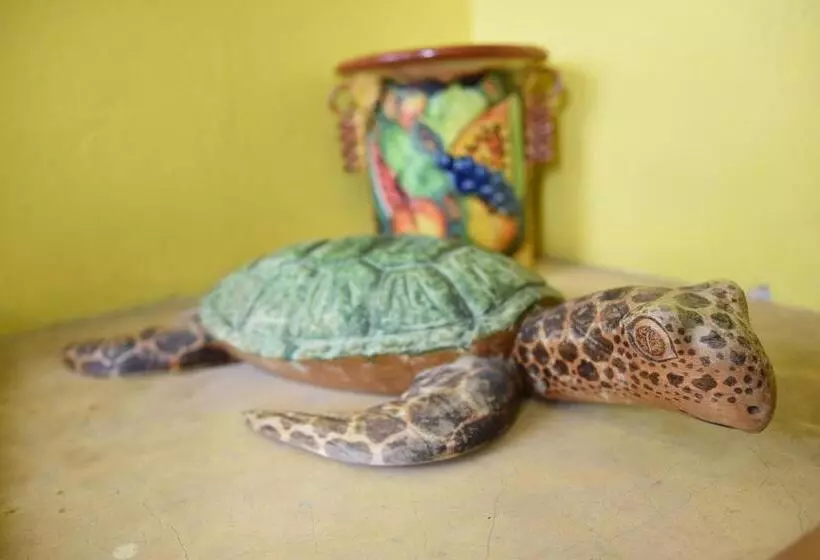 تختخواب و صبحانه Cancun Guest House 1