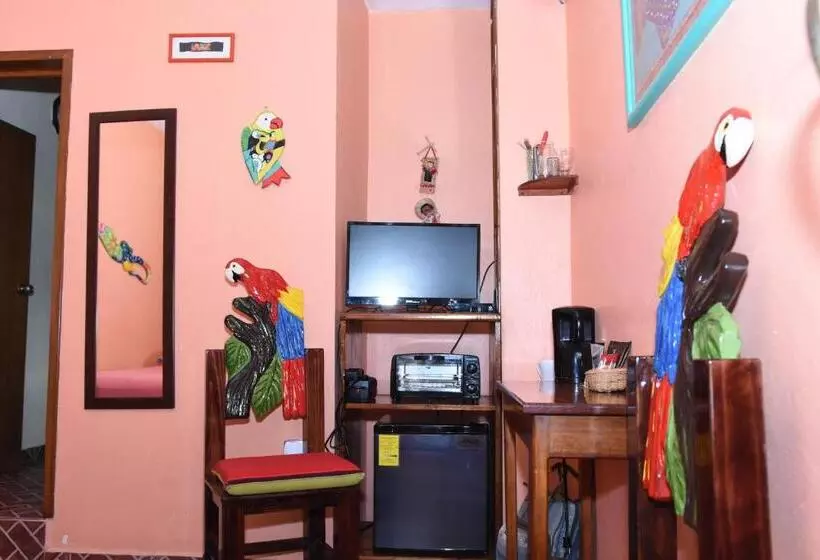 تختخواب و صبحانه Cancun Guest House 1