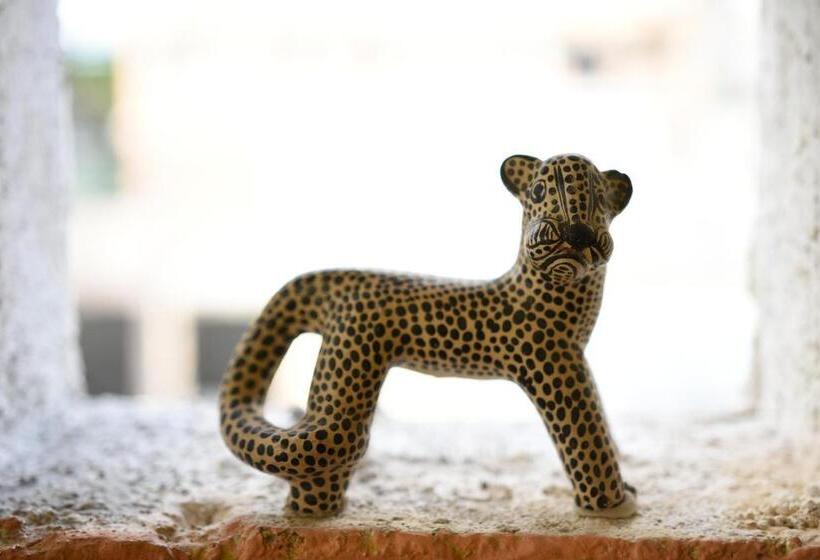 مبيت وإفطار Cancun Guest House 1