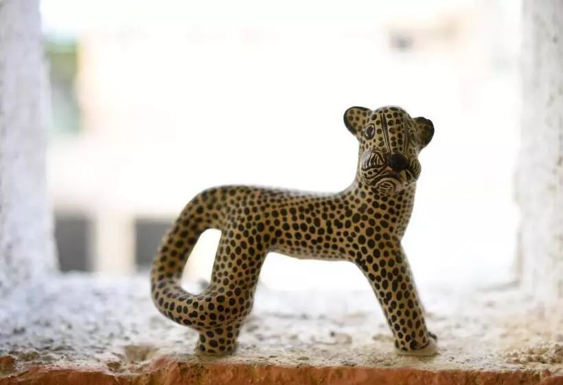 تختخواب و صبحانه Cancun Guest House 1