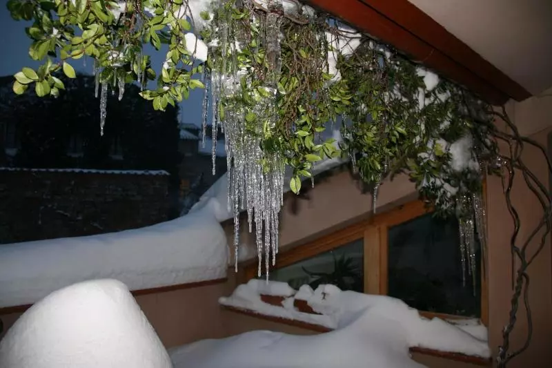 Aamiaismajoitus (B&B) Meuble Il Riccio