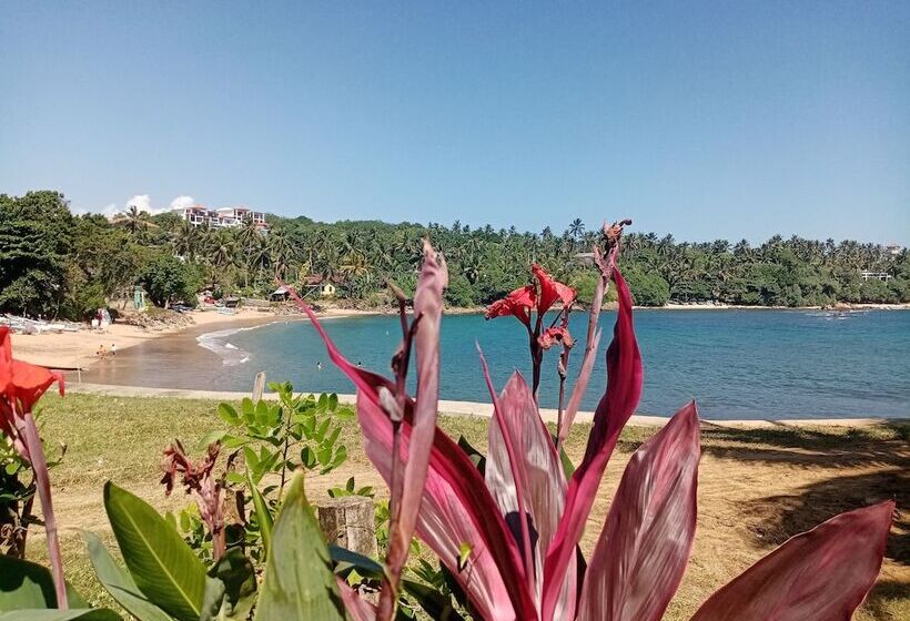 Bed & Breakfast Surf Paradise