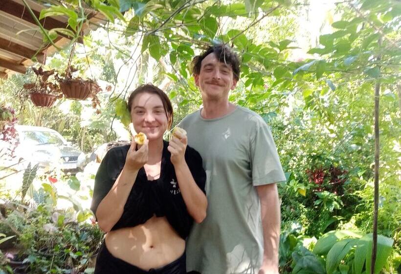 Bed & Breakfast Surf Paradise