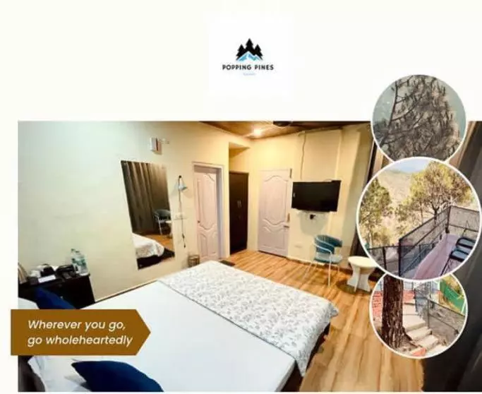 هتل Popping Pines Resort
