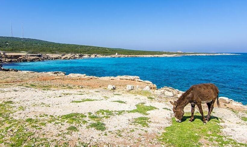 פנסיון Castle Karpasia Guest House