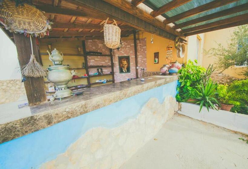 פנסיון Castle Karpasia Guest House