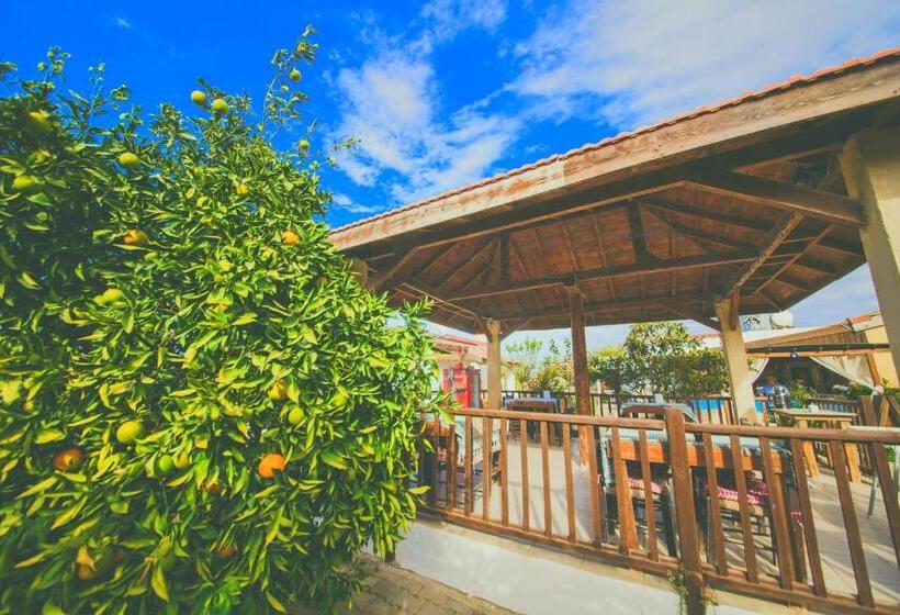 פנסיון Castle Karpasia Guest House