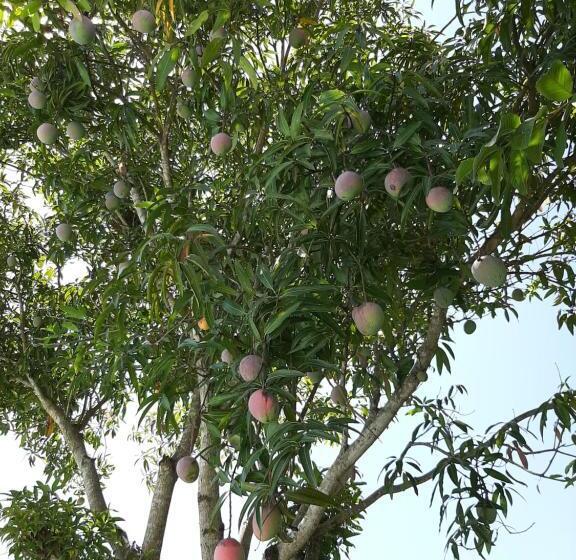 ペンション Pousada Santa Fé