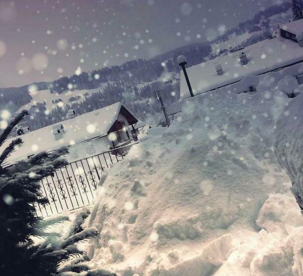 مبيت وإفطار Garni Hotel Belalp