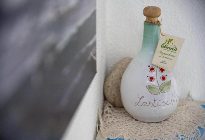 Nocleg ze śniadaniem L Orso E Il Mare