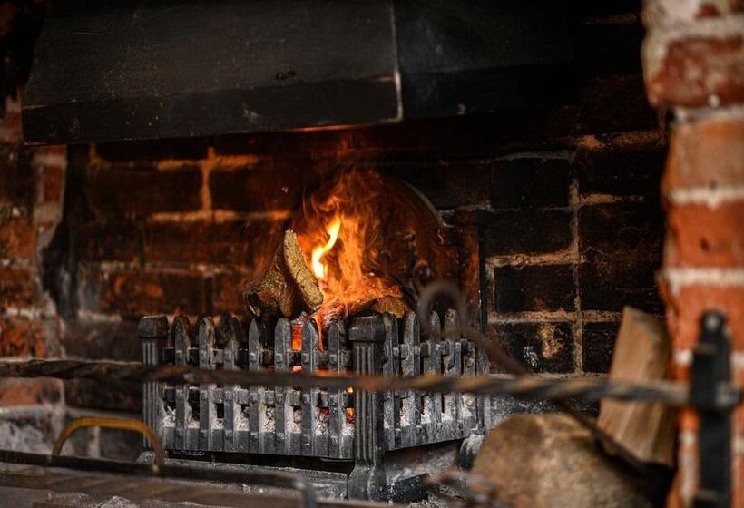 צימר The Lazy Lion