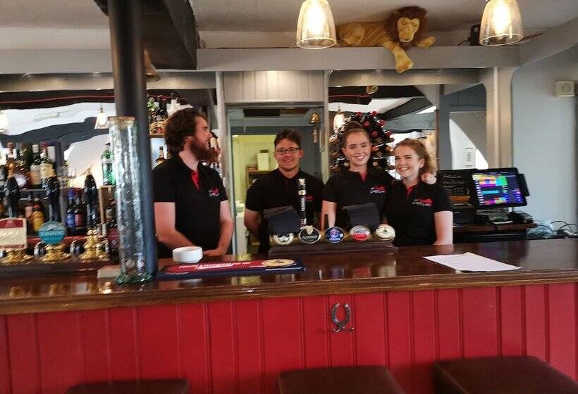 צימר The Lazy Lion