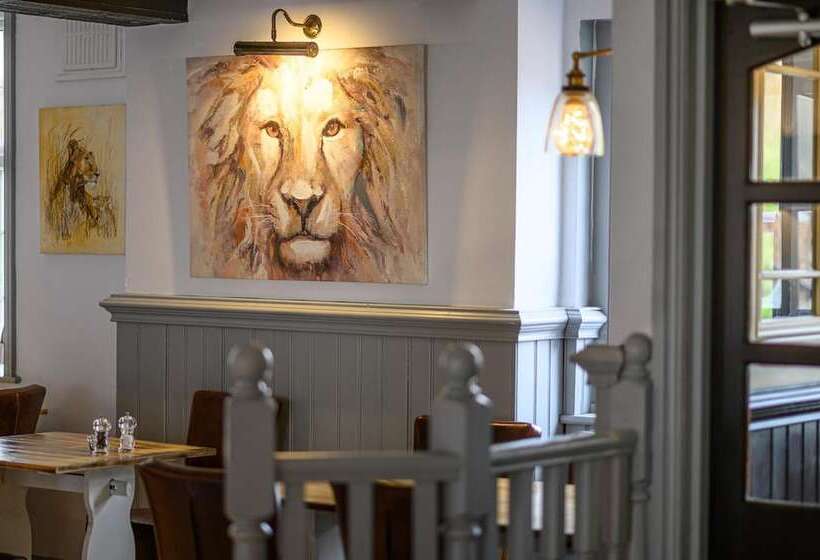 צימר The Lazy Lion