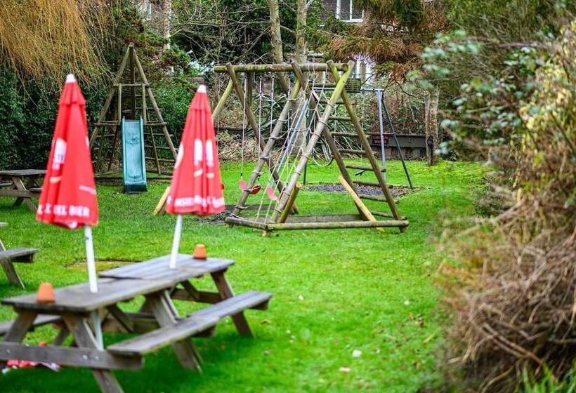 צימר The Lazy Lion