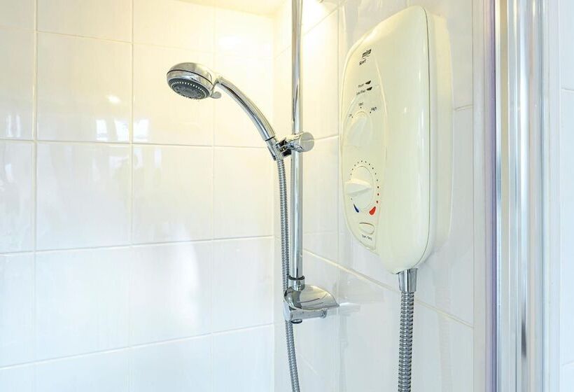 צימר The Lazy Lion