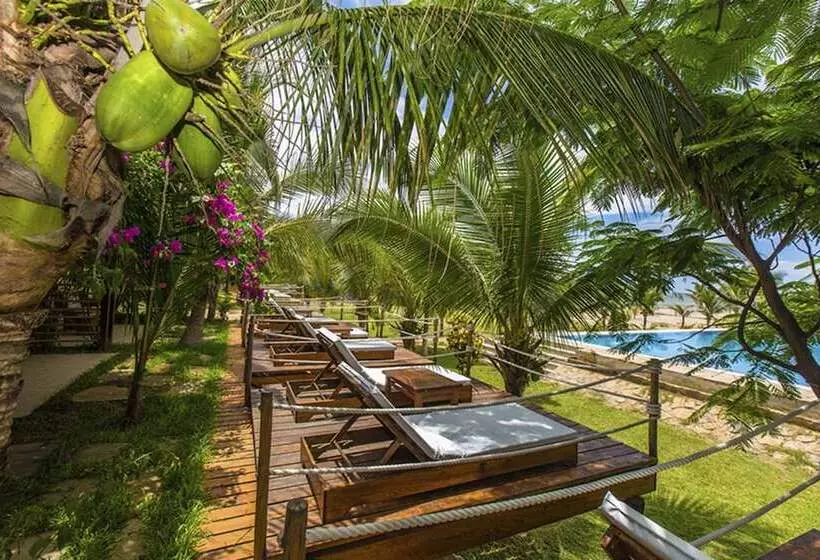 ホテル Bungalows & Suites Punta Camarón