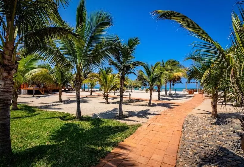 ホテル Bungalows & Suites Punta Camarón