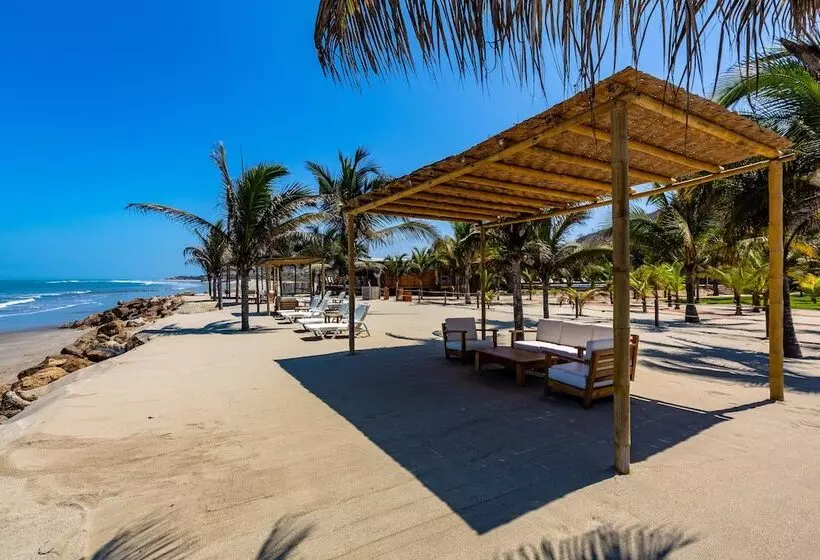 ホテル Bungalows & Suites Punta Camarón
