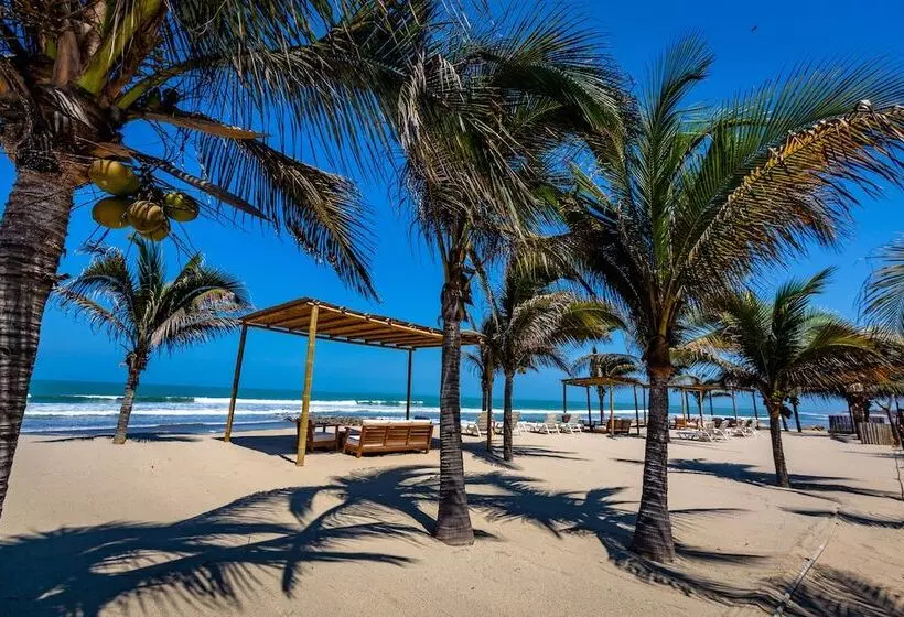 ホテル Bungalows & Suites Punta Camarón