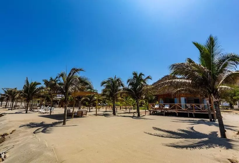 ホテル Bungalows & Suites Punta Camarón
