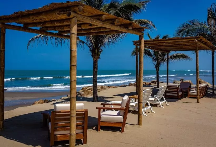 ホテル Bungalows & Suites Punta Camarón