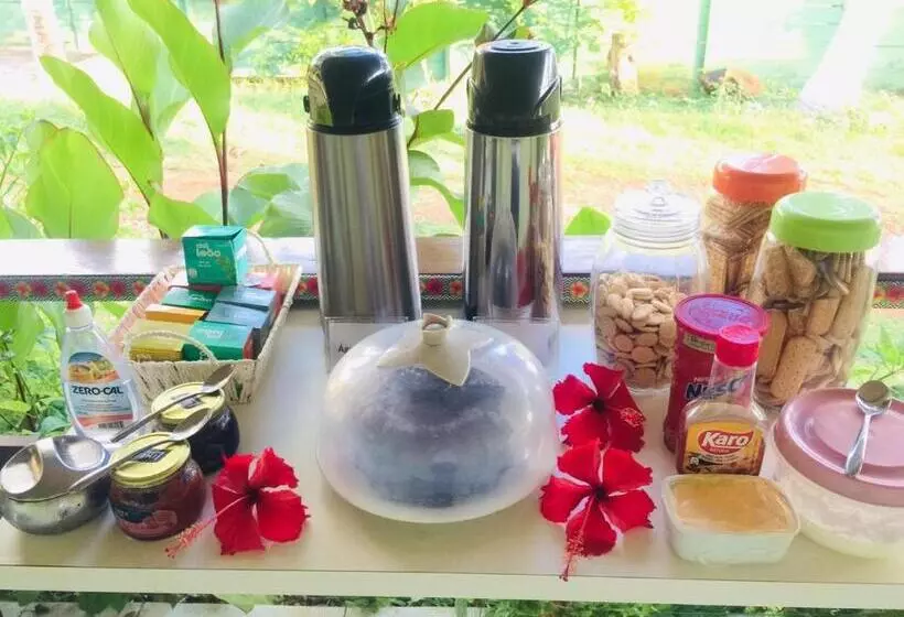 ペンション Pousada Flor De Noronha