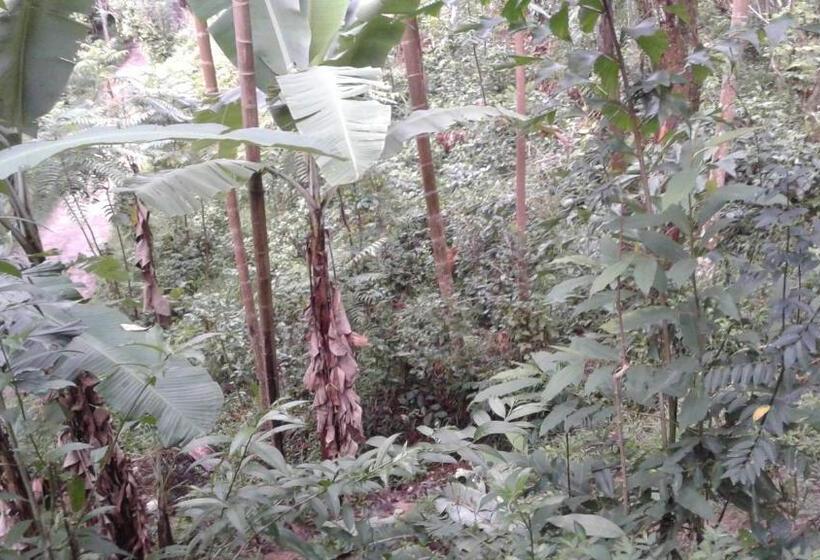 Bed and Breakfast Sun View Resort Kithalella