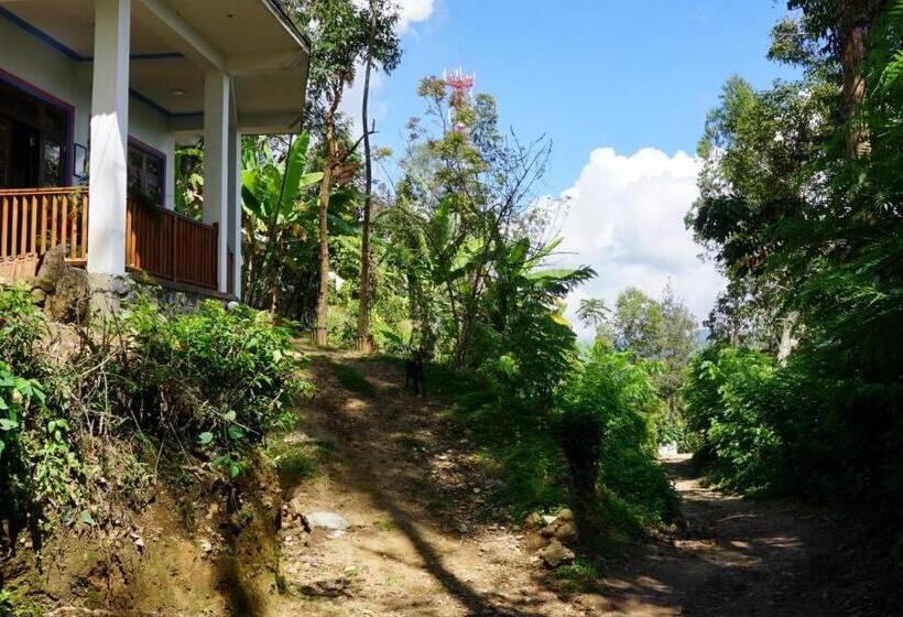 Bed and Breakfast Sun View Resort Kithalella