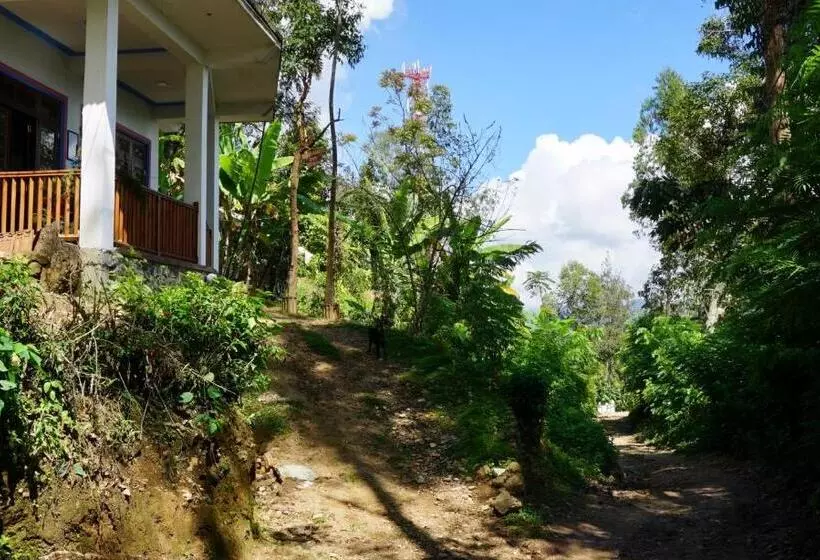 تختخواب و صبحانه Sun View Resort Kithalella