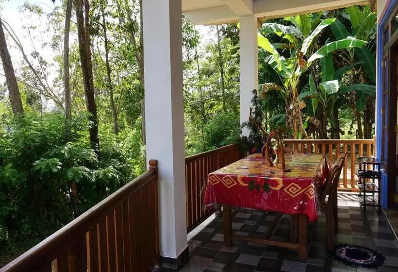 تختخواب و صبحانه Sun View Resort Kithalella