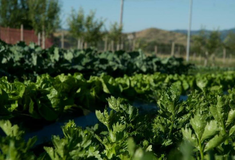 فندق Agriturismo Fiorella