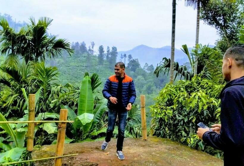 بنسيون Ella Mount Villa