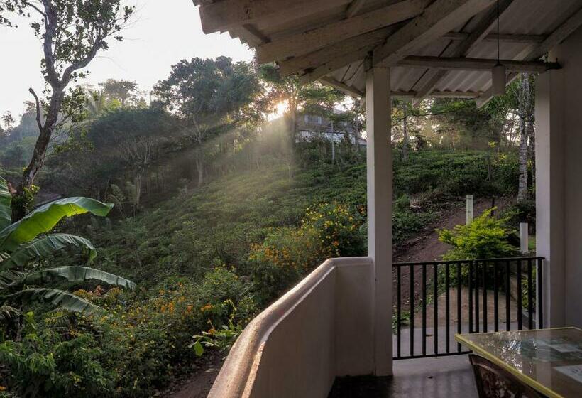 بنسيون Ella Mount Villa