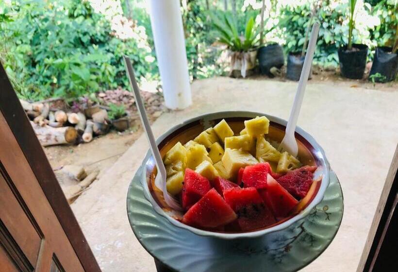 Pensionat Green Horizon Ella